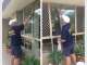 Spic-N-Span Window Cleaning