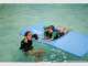 Swim For Your Life