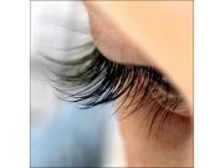 Temple of Beauty - Eyelash Extensions
