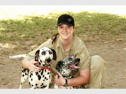 The Animal Welfare League Queensland The Animal Welfare League Queensland