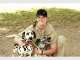 The Animal Welfare League Queensland The Animal Welfare League Queensland