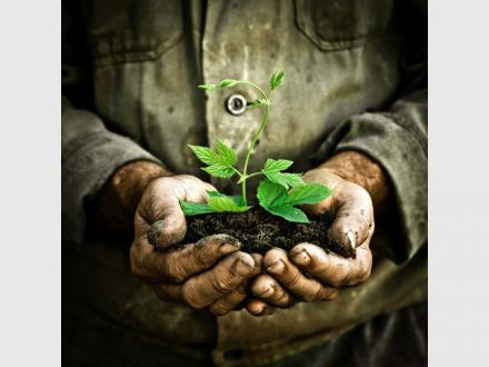 The Biochar Revolution - Improve Soil Health & Fertility Organically The Biochar Revolution - Improve Soil Health & Fertility Organically
