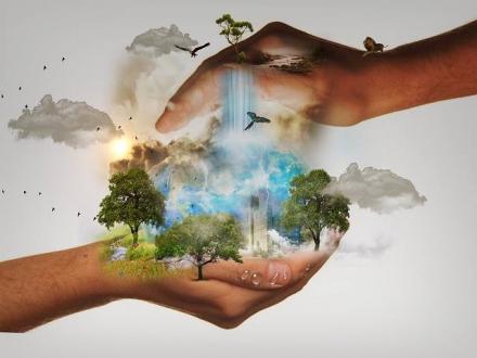 The Biochar Revolution - Improve Soil Health & Fertility Organically The Biochar Revolution - Improve Soil Health & Fertility Organically
