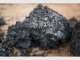 The Biochar Revolution - Improve Soil Health & Fertility Organically The Biochar Revolution - Improve Soil Health & Fertility Organically