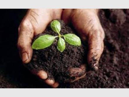 The Biochar Revolution - Improve Soil Health & Fertility Organically The Biochar Revolution - Improve Soil Health & Fertility Organically