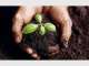 The Biochar Revolution - Improve Soil Health & Fertility Organically The Biochar Revolution - Improve Soil Health & Fertility Organically