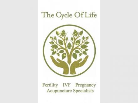 The Cycle Of Life The Cycle Of Life