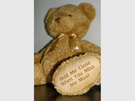 The Eddy Bear Company
