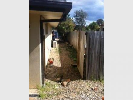 Tree Cutting & Lopping Gold Coast Tree Cutting & Lopping Gold Coast