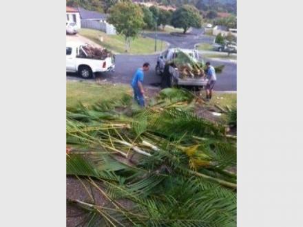 Tree Cutting & Lopping Gold Coast Tree Cutting & Lopping Gold Coast
