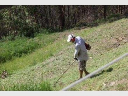 Tree Cutting & Lopping Gold Coast Tree Cutting & Lopping Gold Coast