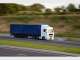 United Movers United Movers