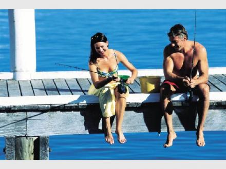 WotToDo - Things to do on the Gold Coast WotToDo - Things to do on the Gold Coast